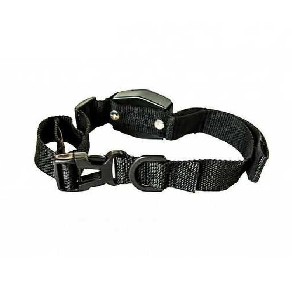 Guia Coleira Magnetica Cachorro 2 Em 1 Retratil Alca Caes Gatos Treinamento Adestramento Lucky Leash