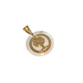 Pingente Curso Profissão Geografia Folheado Ouro 18k