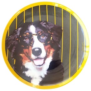 Prato De Porcelana Cachorro Bernese Joseph - 24 Cm