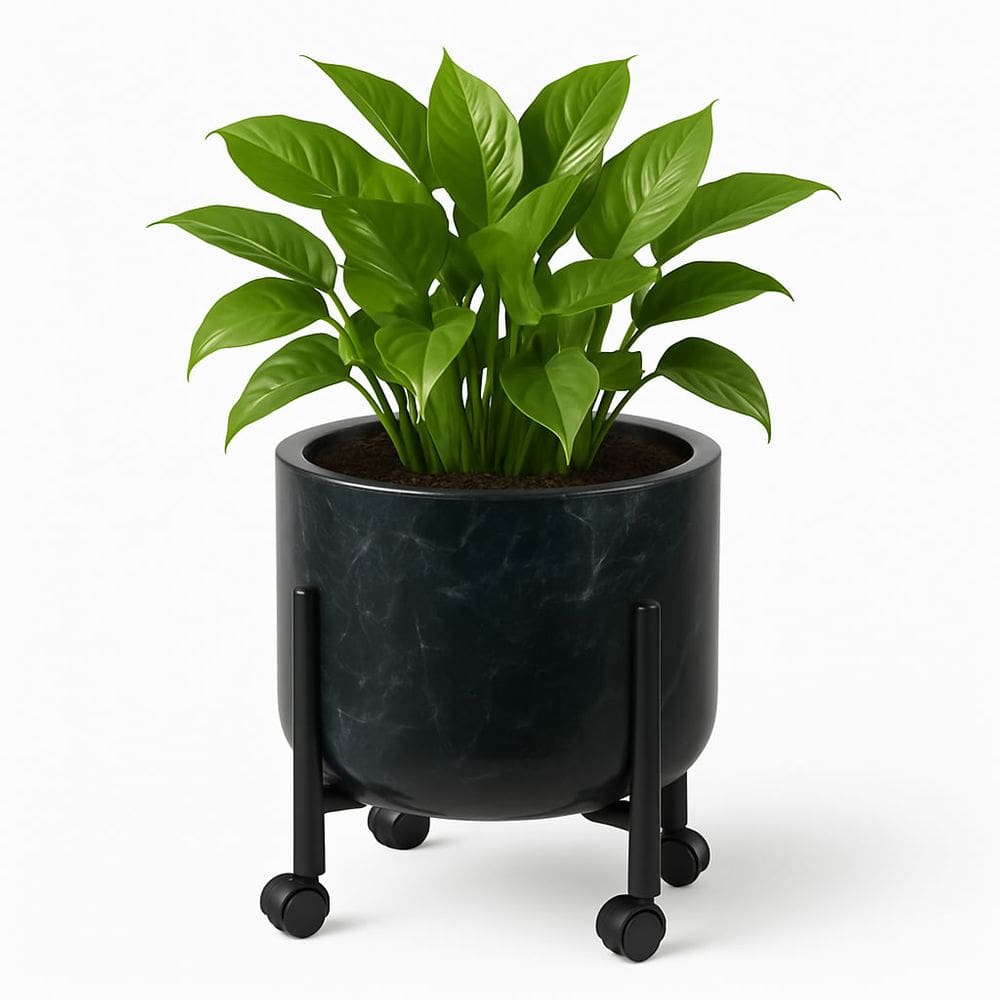 Vaso De Plantas 33cm Decorativo Cachepô 16l Pé Com Rodinha Preto Marquina