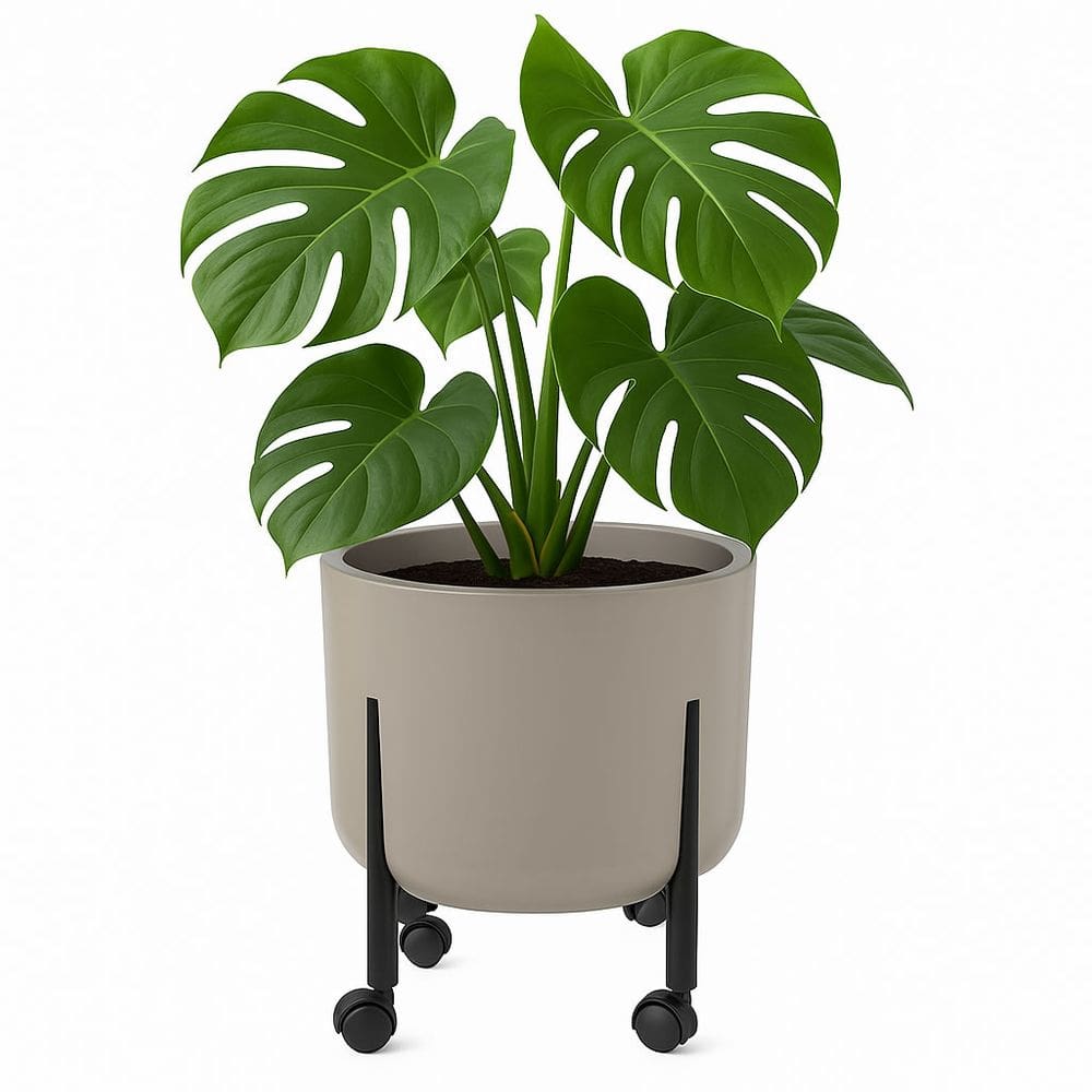 Vaso De Plantas 33cm Decorativo Cachepô 16l Pé Com Rodinha Cinza