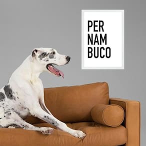 Quadro Decorativo Tipografia Pernambuco 45X34Cm - Com Vidro