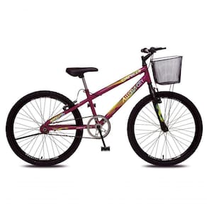 Bicicleta Allegra City Aro 24 Sem Marchas Freios V-brake E Cestão Colli Roxo