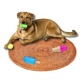Kit 3 Mordedor Gelado Sorvete Para Pet
