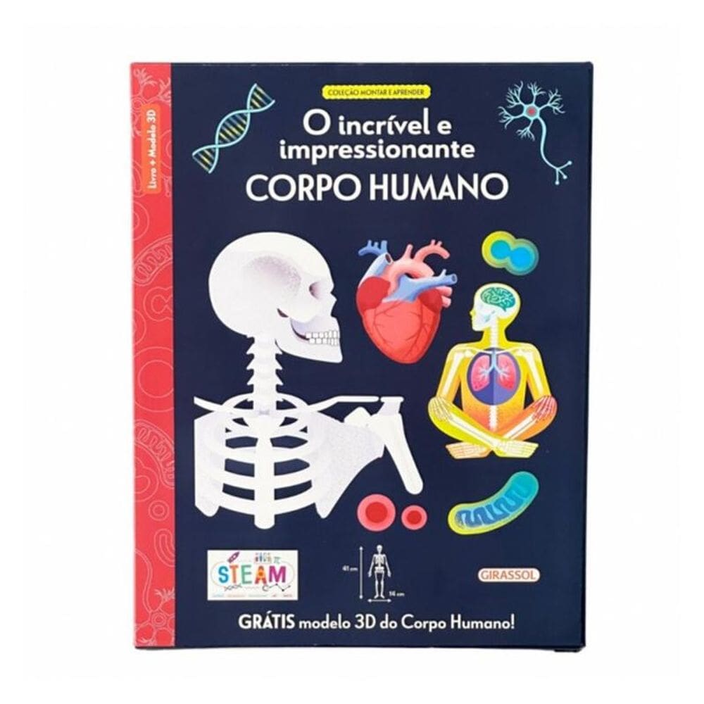 Montar E Aprender: O Incrível E Impressionante Corpo Humano - Com Modelo 3D Do Corpo Humano!