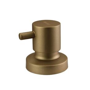 Acabamento para Registro em Metal Minimal Classic Dourado Matte