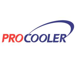 Radiador - 250R 2008 A 2012 / Ex250 2008 A 2012 - Pc10000090