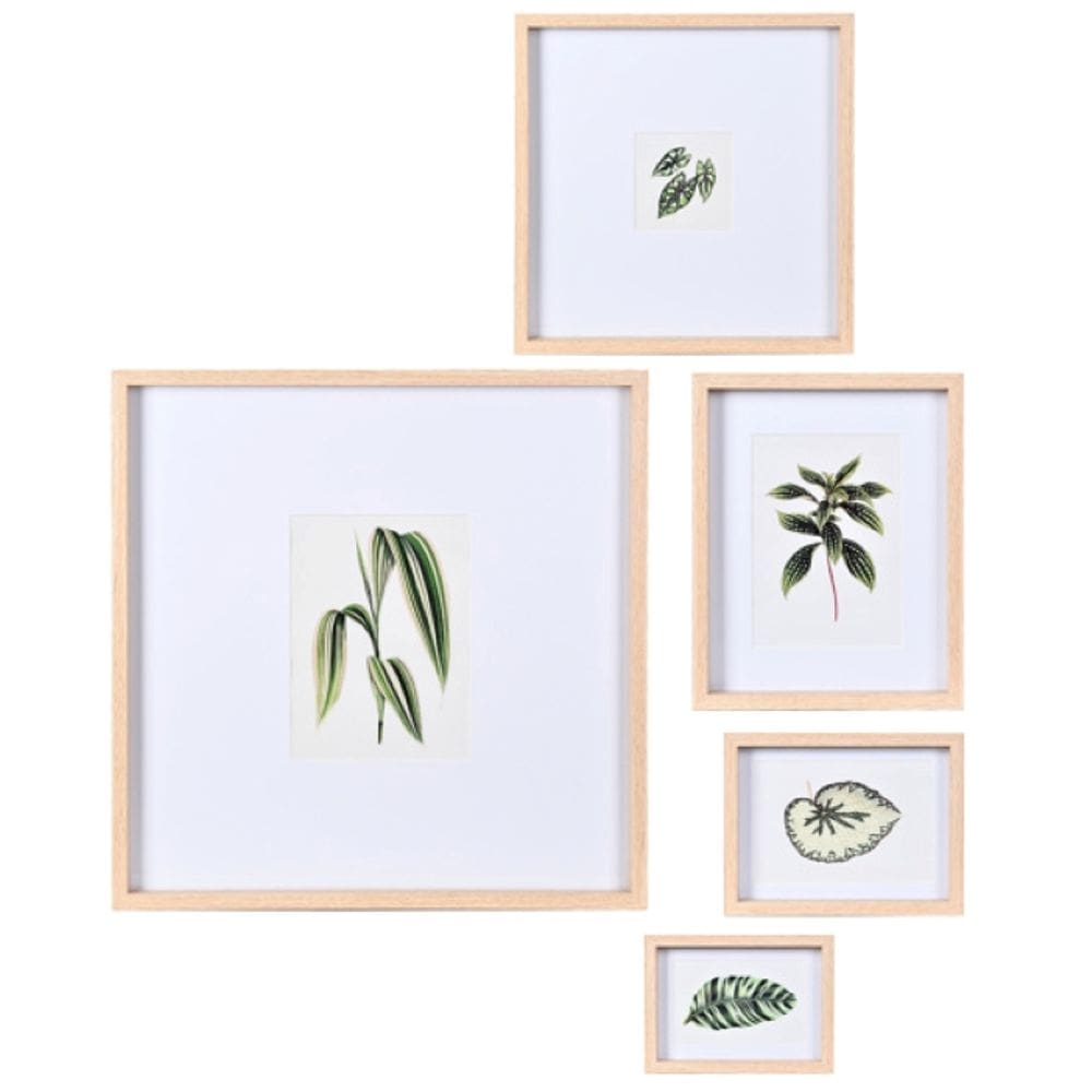 Kit Quadros Decorativos Em Mdf - 5Pcs Tema Botanico