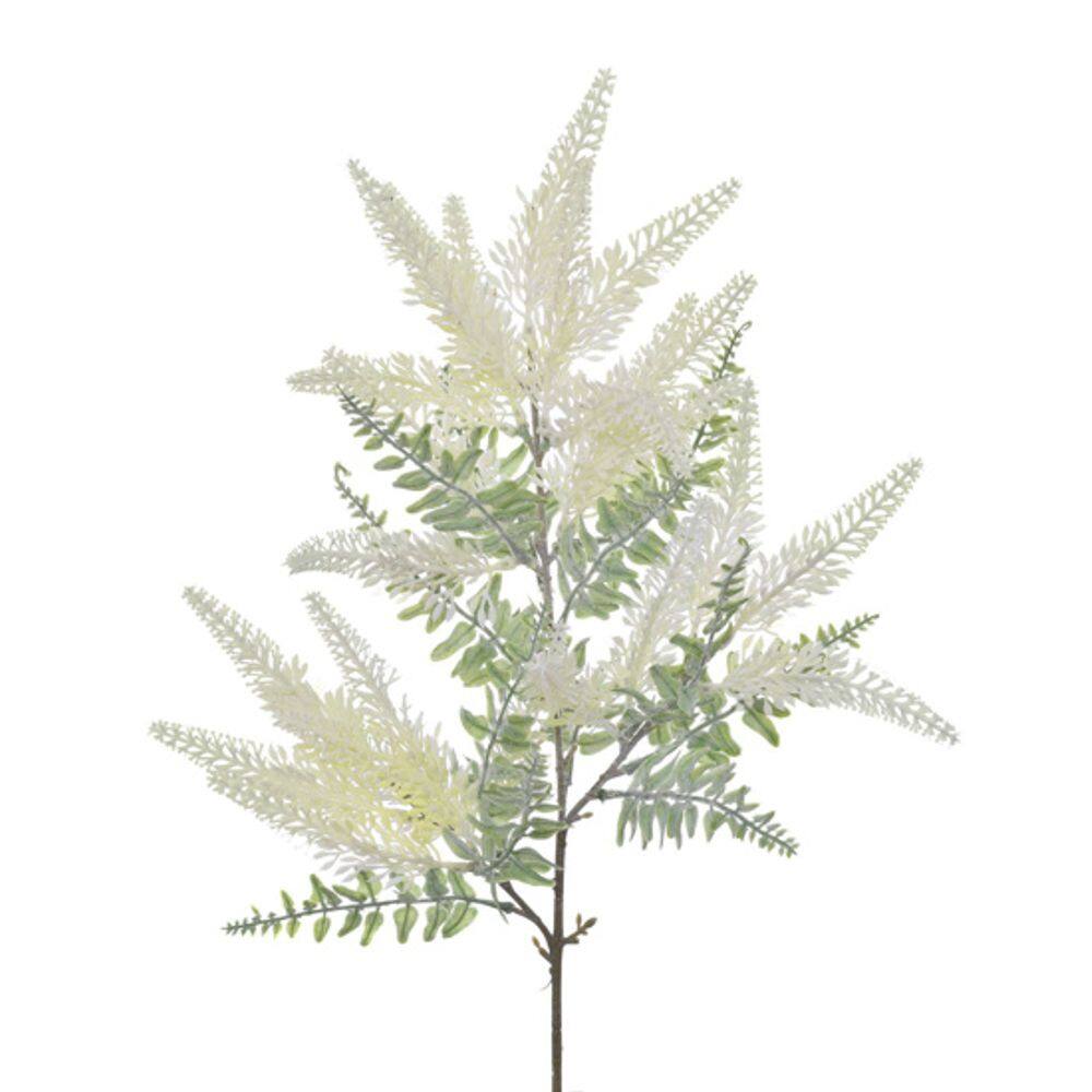 Haste Lavanda Outonada Creme 62Cm
