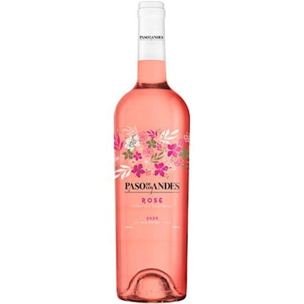 Vinho Chileno Paso de Los Andes 750ml