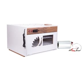 Chocadeira 220 Ovos Alta Performance De Eclosão Controle De Temperatura Pid 4 Ventiladores Trivolt Manual E Ovoscópio