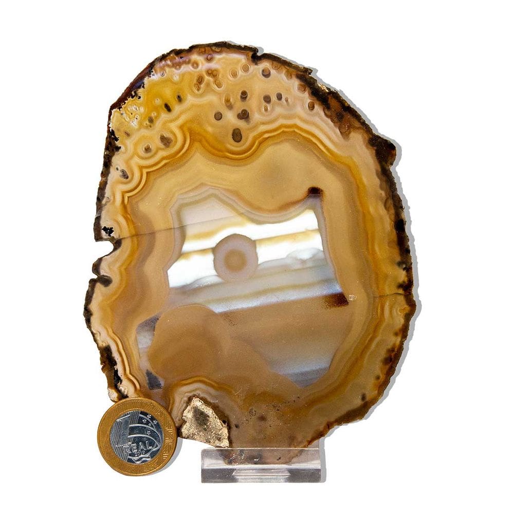 01 Chapa de Ágata Marrom 12 a 16cm Com Base Tipo C