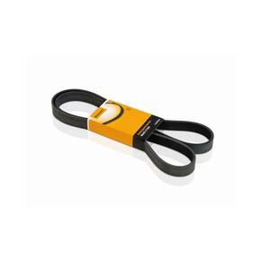 6Pk1746 - Correia Gir / Alt / Ba / Dh S / Acd - Fiesta / Cour Zetec 1.4 16V 96 Em Diante - Contitech