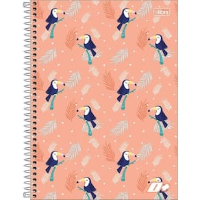 Caderno Univ. 16 Matérias 320 Folhas D Mais Capa 18 -Tilibra