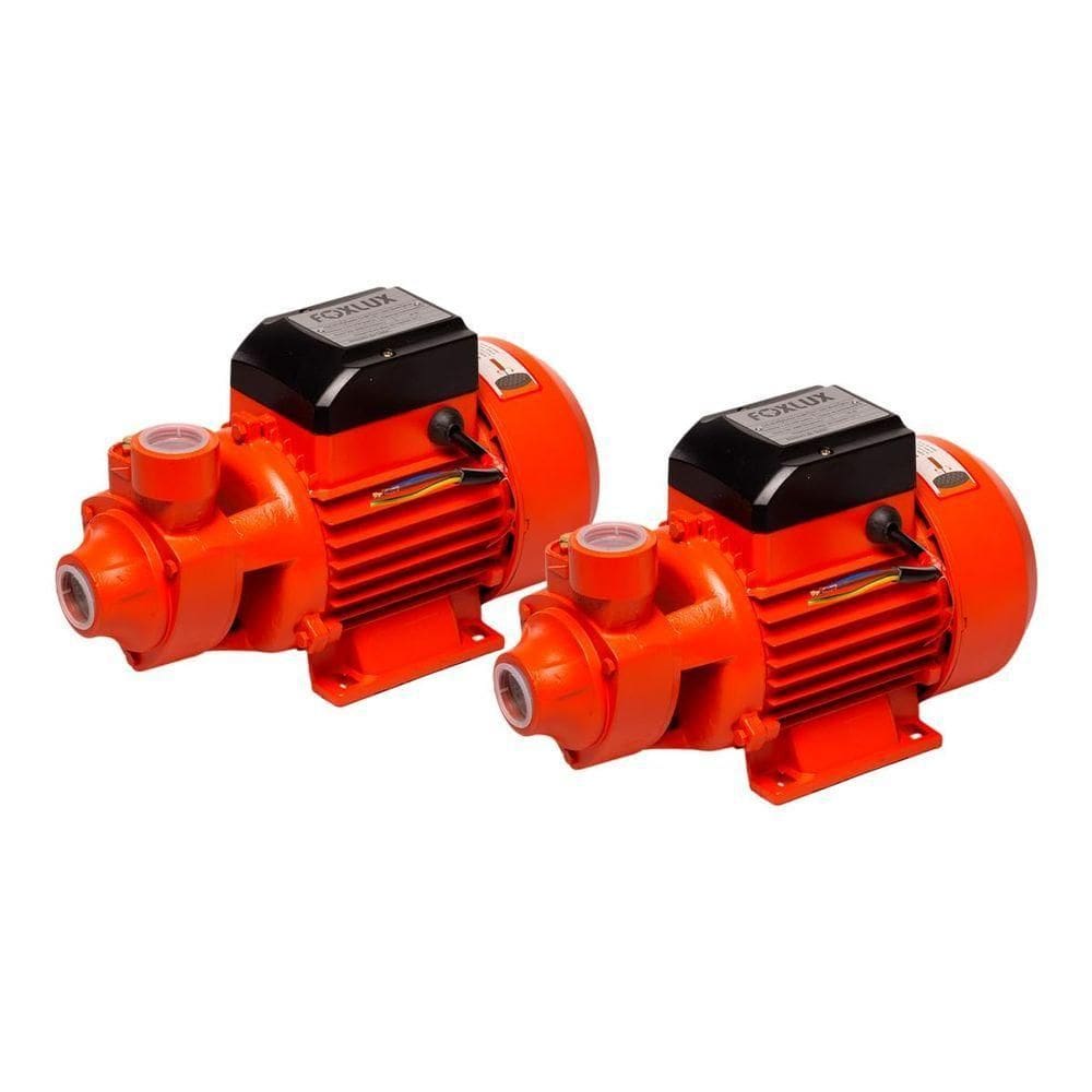 Bomba D`água Periférica 1 Cv 750w Bivolt 2 Unidades Foxlux