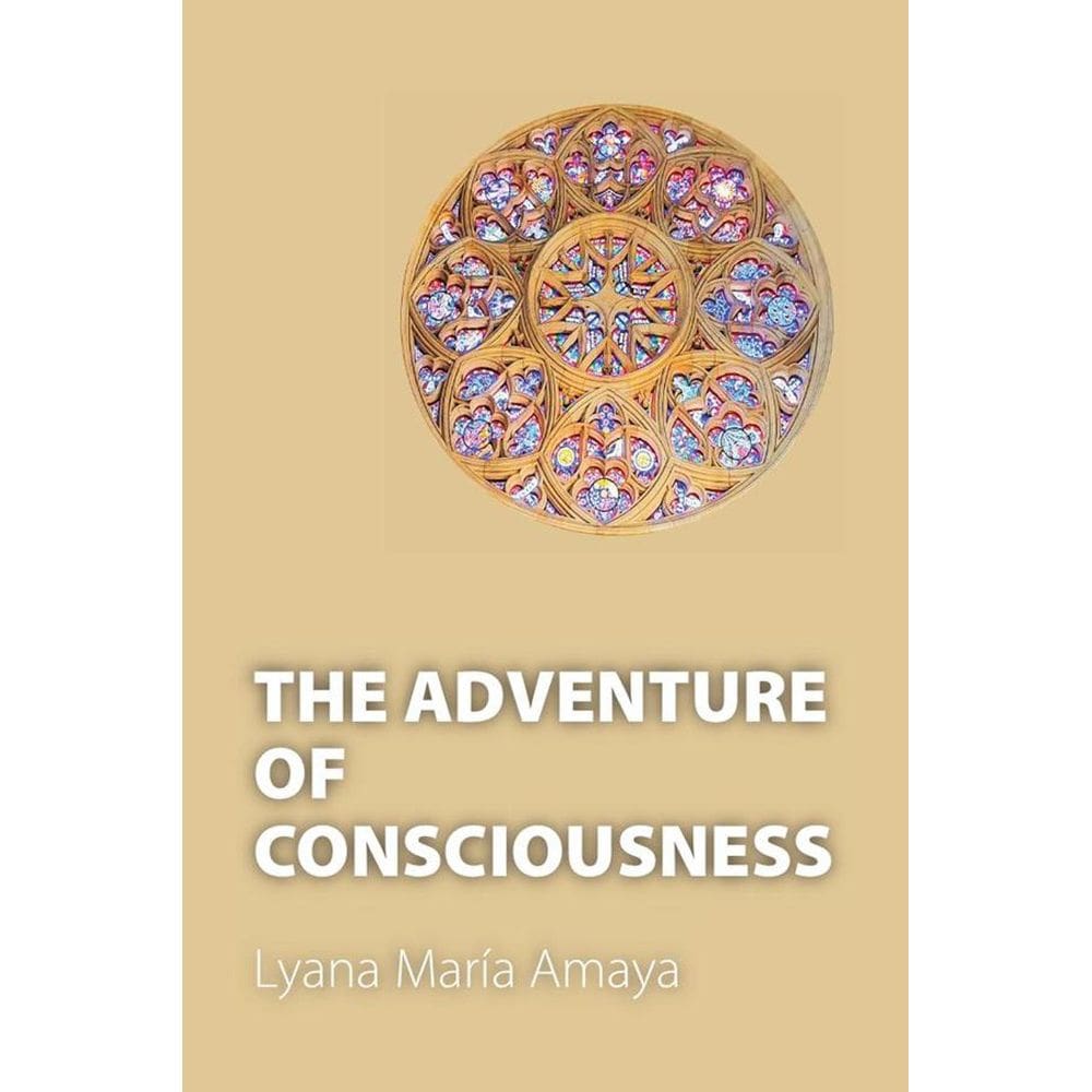 The Adventure of Consciousness - Inglês