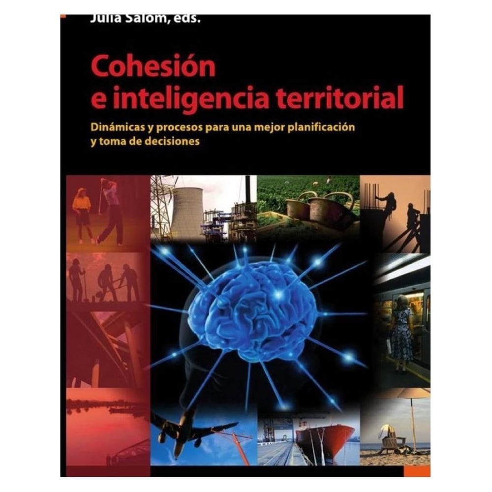 Cohesión e inteligencia territorial - Espanhol