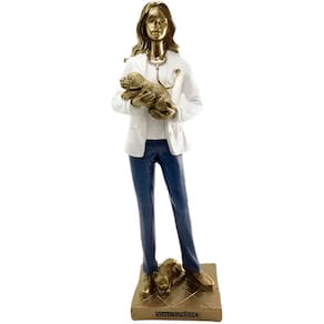 Escultura Decorativa Médica Veterinária Cachorro Resina 24cm