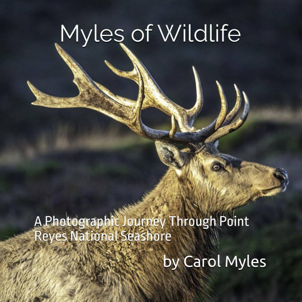 Livro Myles of Wildlife: uma viagem fotográfica pela costa nacional de Point Reyes