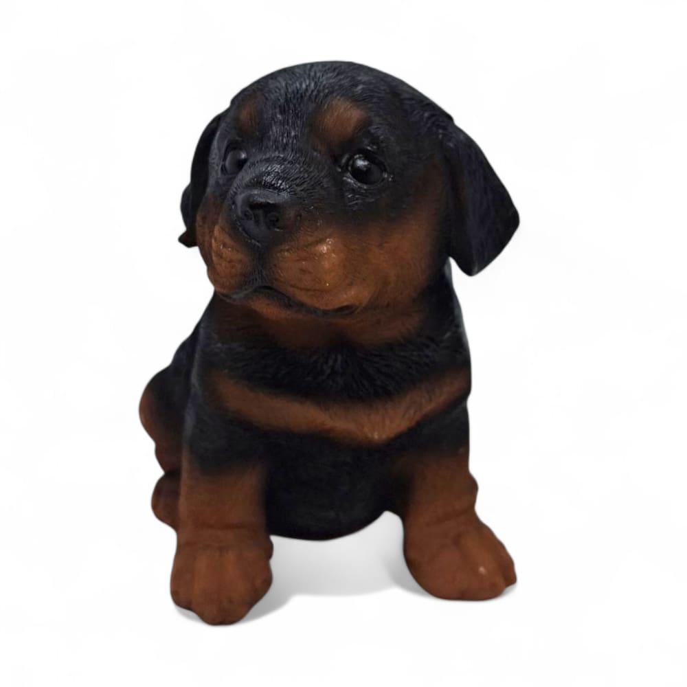Estatueta Delicada Cachorrinho Rottweiler Sentado 14 cm