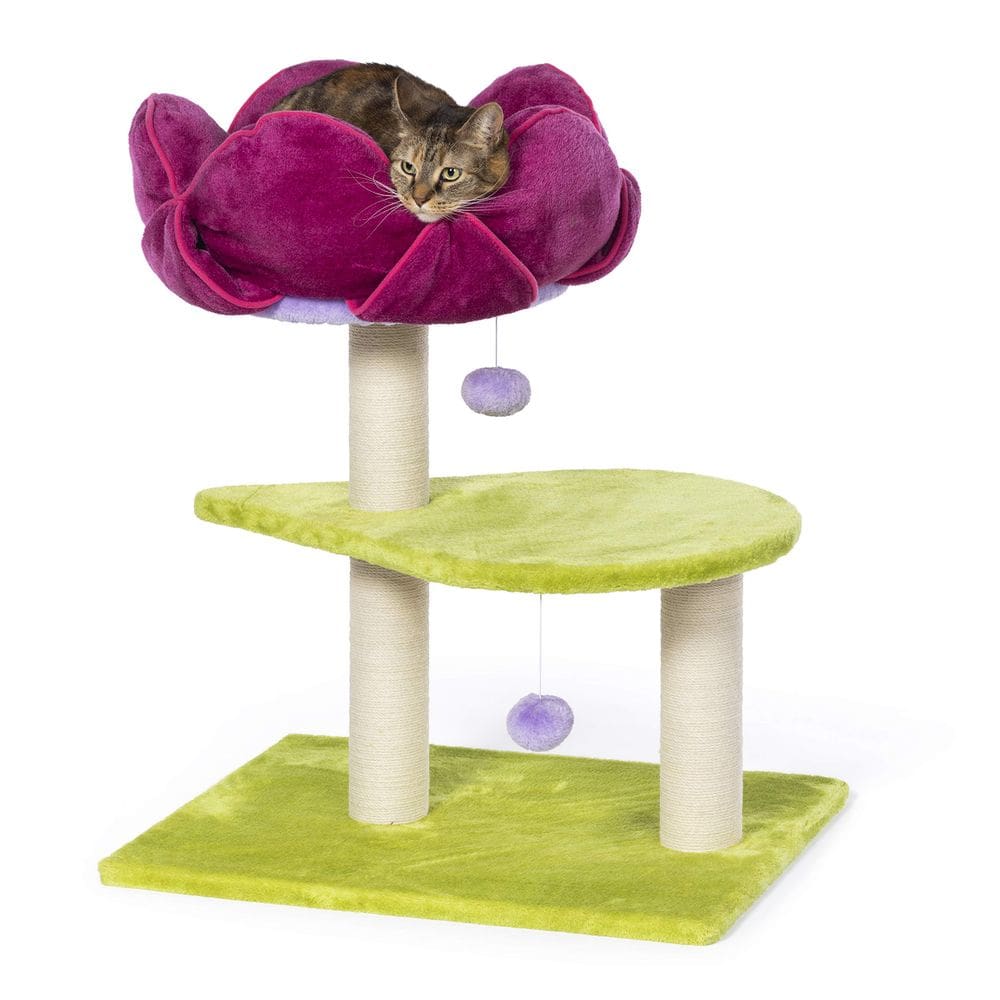 Produtos para animais de estimação Cat Activity Tree Prevue Kitty Power Paws