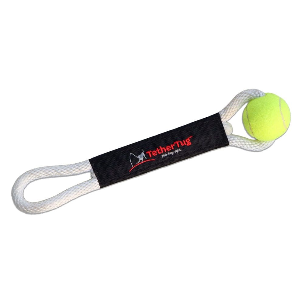 Brinquedo para cães Tether Tug Ball Plus para brincadeiras interativas ao ar livre