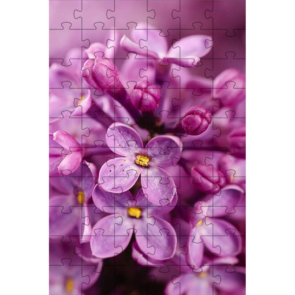 3 Quebra-Cabeças Flores Do Mundo Inclusivo E Inteligente 60