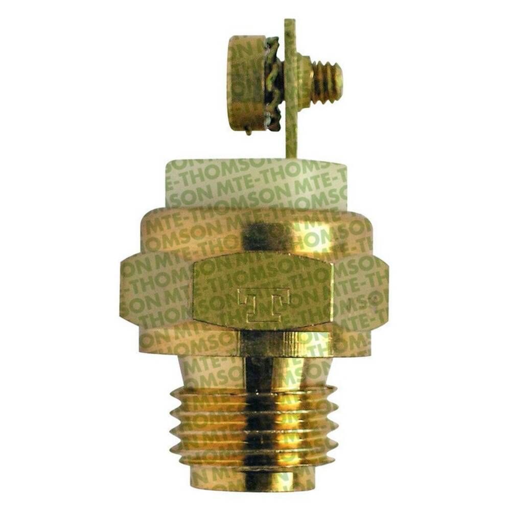 Interruptor Termico Radiador - Caminhoes 1981 A 1998 - 3066