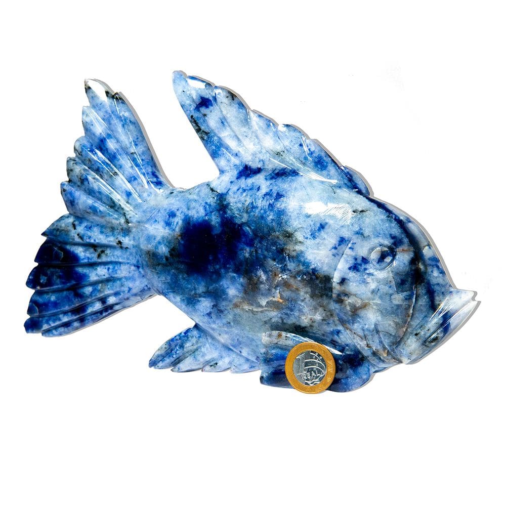 Escultura Peixe Esculpido Sodalita Azul 1,7Kg 26cm