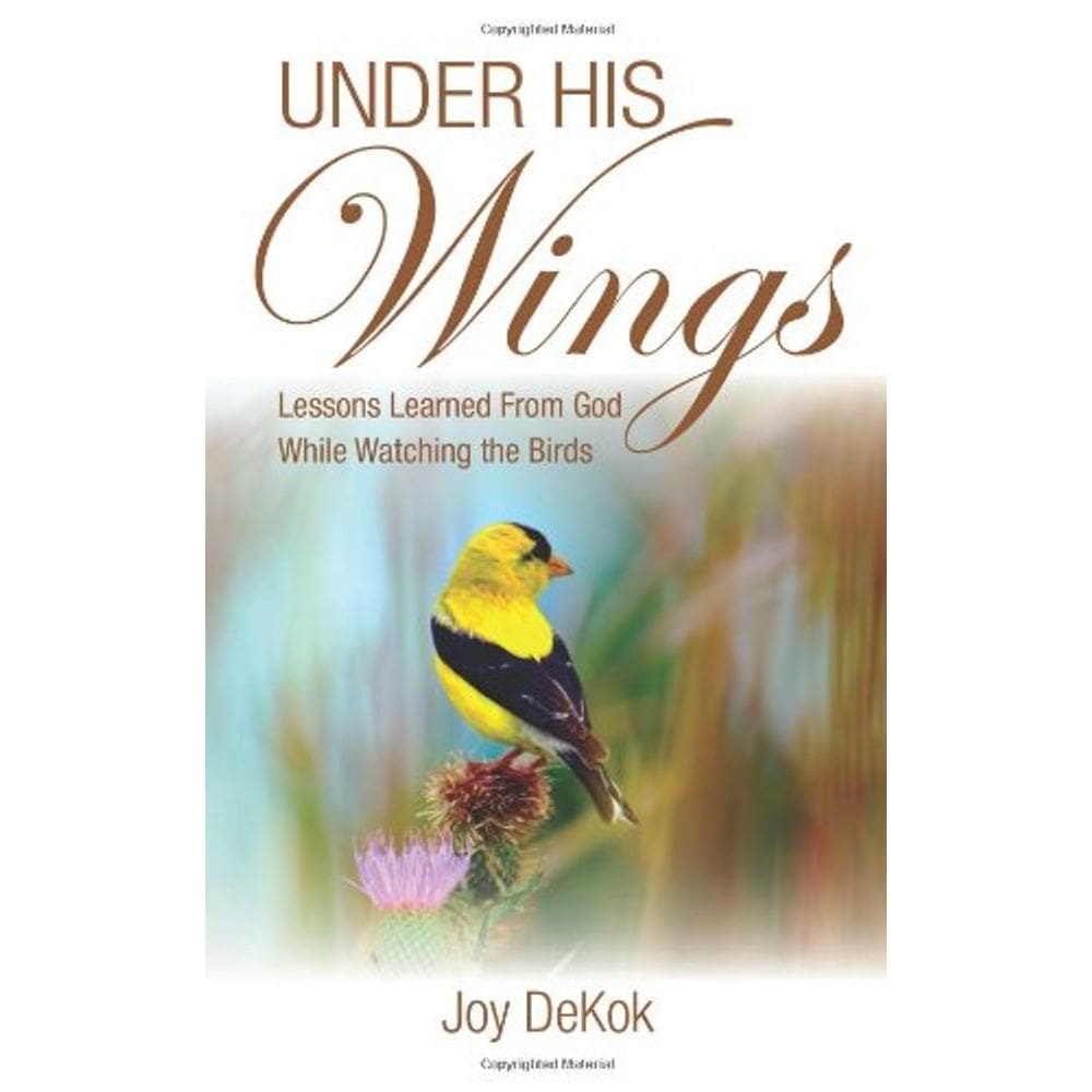 Livro Under His Wings: Lições aprendidas ao observar pássaros