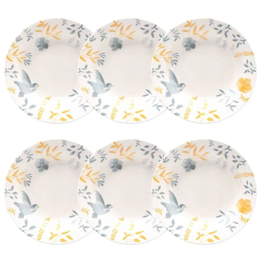 Kit 06 Pratos Fundos de Sopa 21cm Branco Color Birds