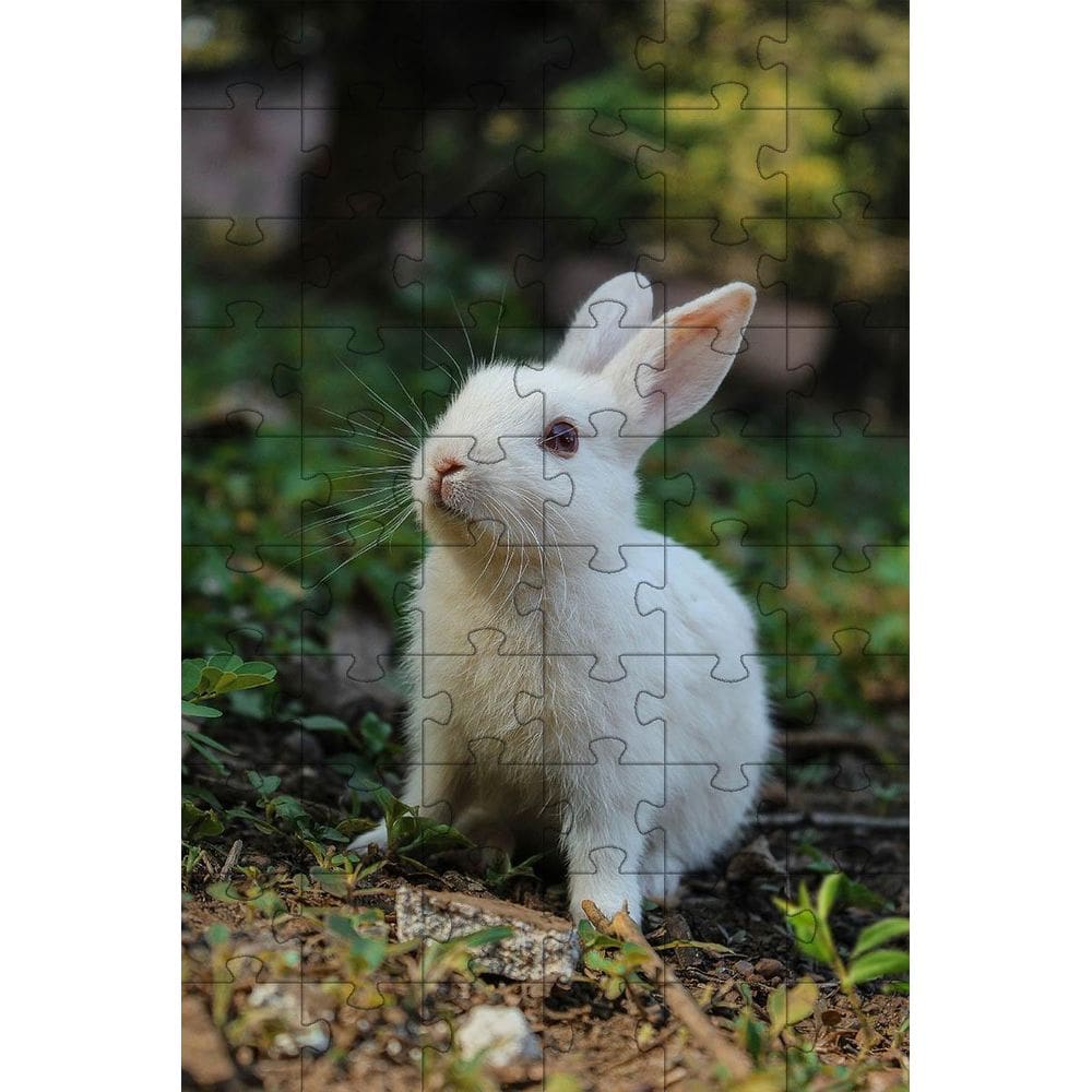 4 Quebra-Cabeças Coelhos Diversão Inclusiva E Inteligente 60