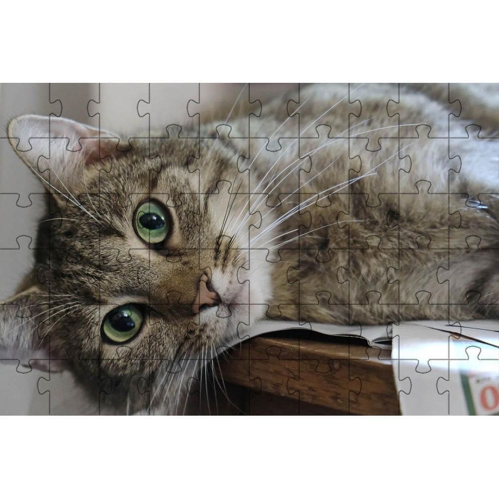 Kit 2 Quebra-Cabeça Inclusivos Gatos Espertos Em 60 Peças