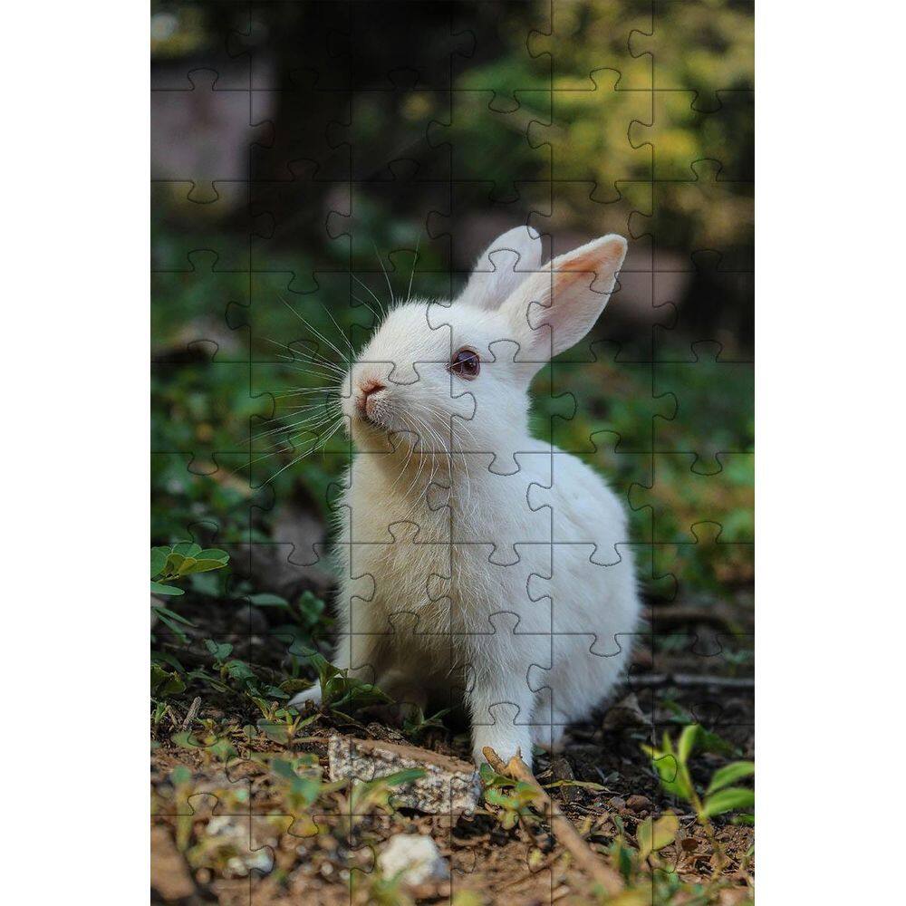 4 Quebra-Cabeças Coelhos Diversão Inclusiva E Inteligente 60