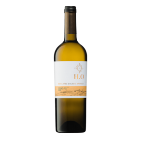 H.O Moscatel Galego Vinho Branco Douro DOC 750ml
