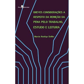 Breves Considerações a Respeito da Remição da Pena pelo Trabalho, Estudo e Leitura