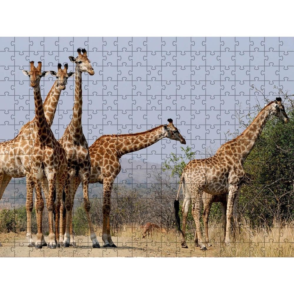Quebra-Cabeça Inclusivo 300 Peças Em Mdf Girafas Graciosas