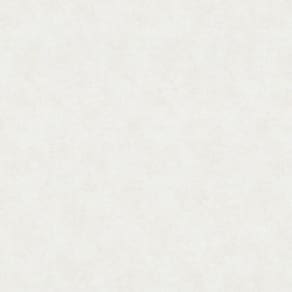 Papel De Parede New Textures Textura Branco Nt32437