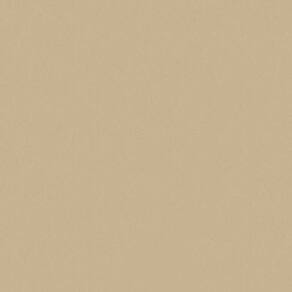 Papel De Parede Rustic Country Pa130503 Vinílico - Rolo 10m X 0,53m