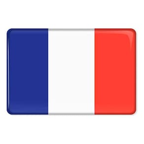 Emblema Resinado Citroen Bandeira França Res7