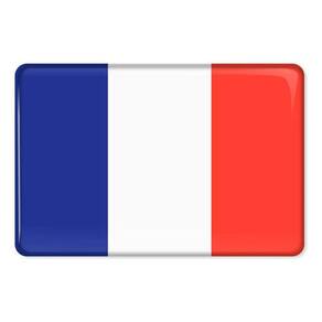 Emblema Resinado Citroen Bandeira França Res7
