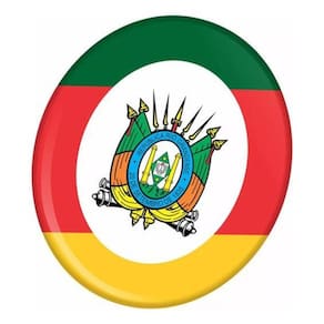 Adesivo Brasão Rio Grande Do Sul Alto Relevo Caminhão Bd10