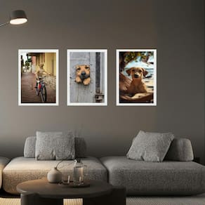 Kit 3 Quadros Decorativos Cachorro Caramelo 45X34Cm