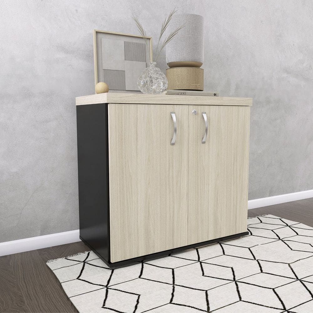 Armário para Escritório 2 Portas com Chave Preto/castanheira