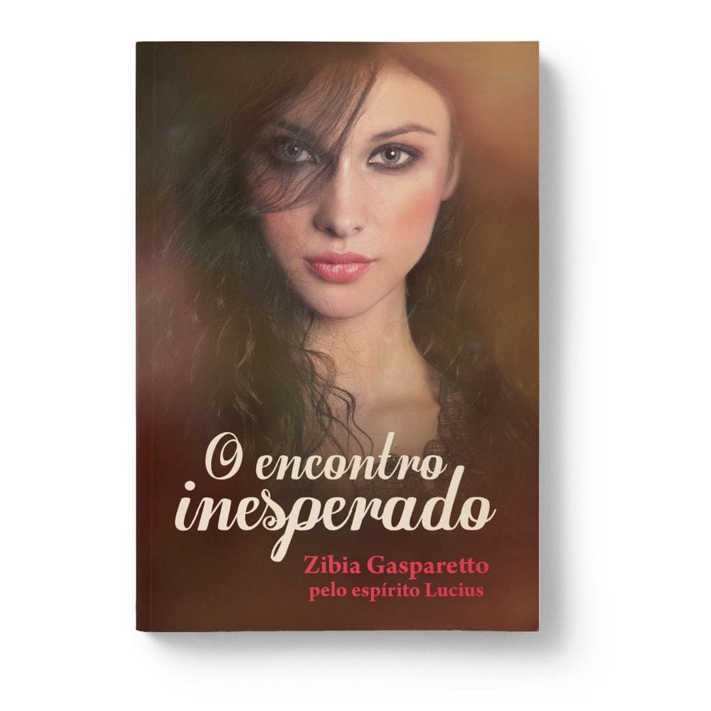 Livro O Encontro Inesperado