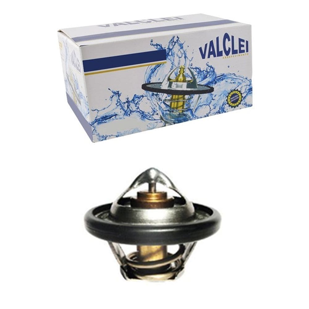 Valvula Termostatica - F250 1999 A 2006 - 552879