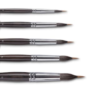 Conjunto de pincéis de aquarela Wizbrio Professional 5PCS Synthetic