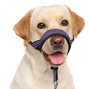Coleira de cabeça de cachorro BARKLESS Soft No Pull acolchoada para cães de médio e grande porte