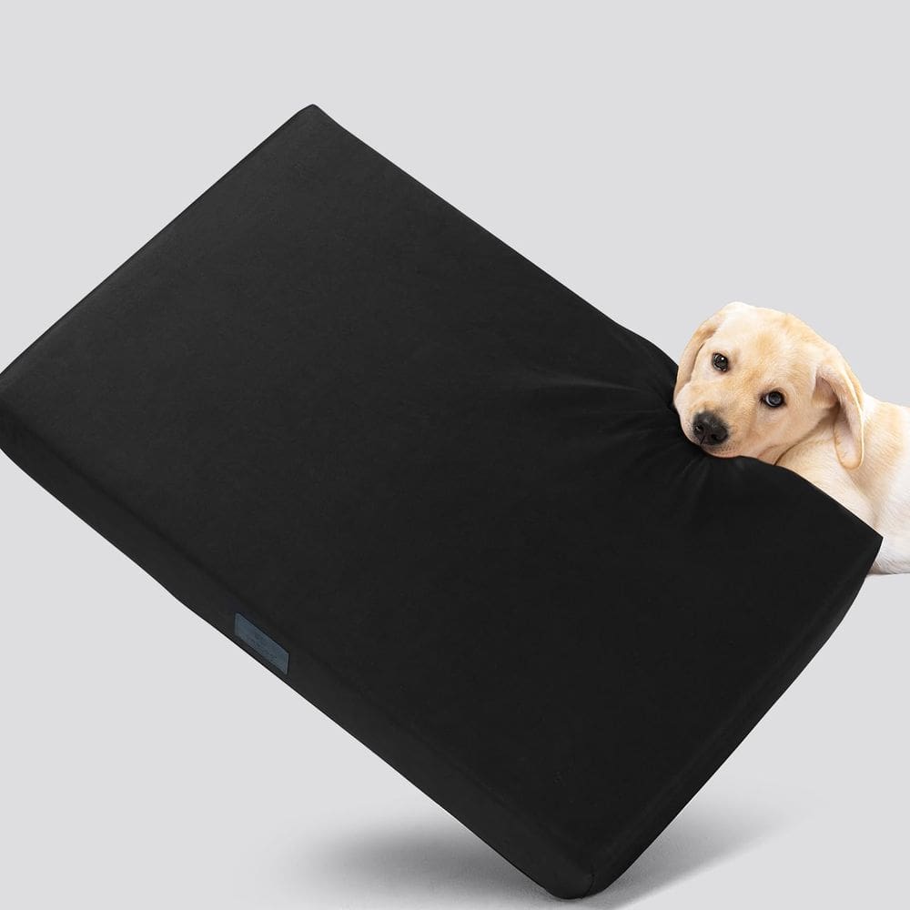 Cama para cães Veehoo Indestrutível Chew Proof 2025 atualizada XXL