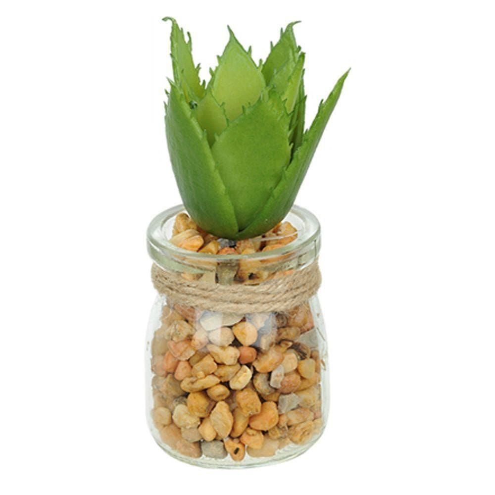 Vaso Com Suculenta Folha Alta Verde Escuro 10X7 Cm - Du0027Rossi